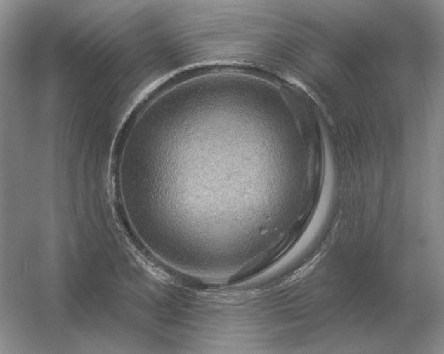 X0000056371077200509021808