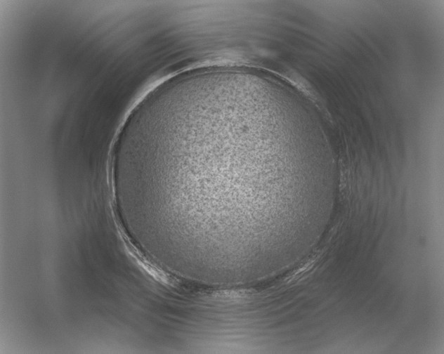 X0000056371078200509021808