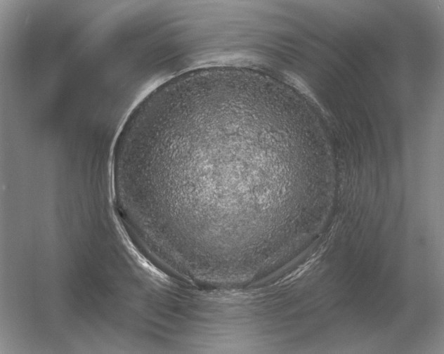 X0000056371079200509021808