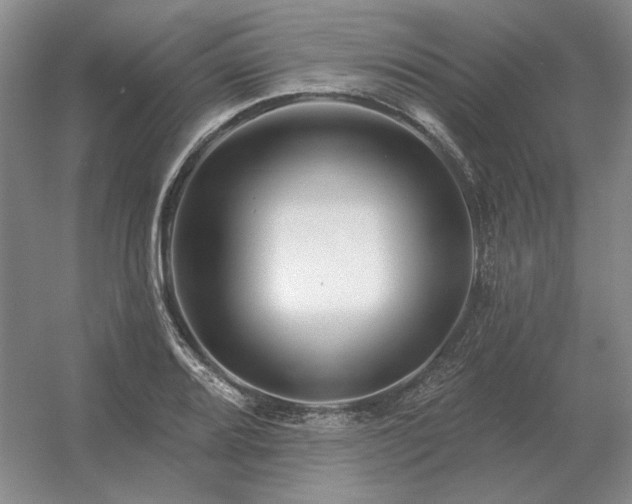 X0000056371080200509021808