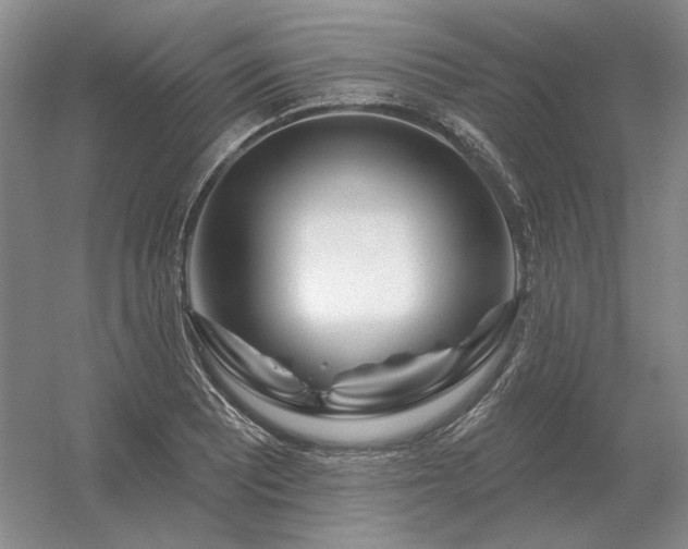 X0000056371081200509021808