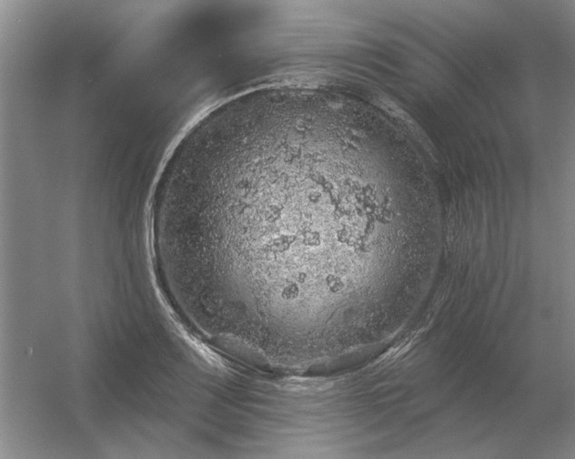 X0000056371083200509021808