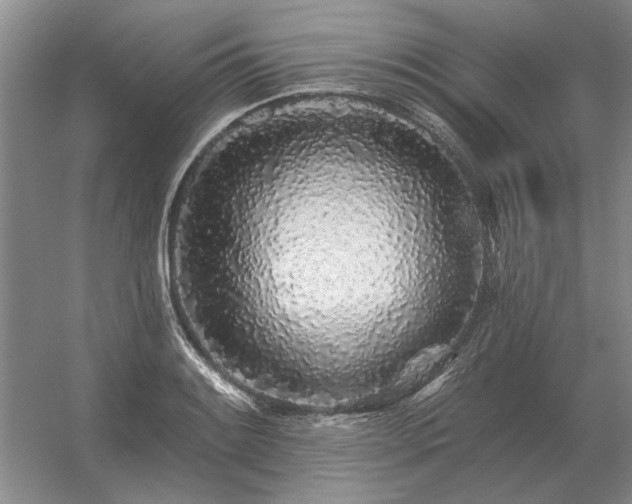 X0000056371084200509021808