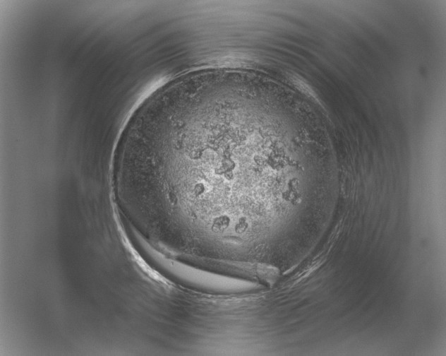 X0000056371087200509021808