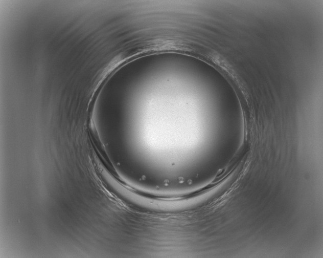 X0000056371089200509021808