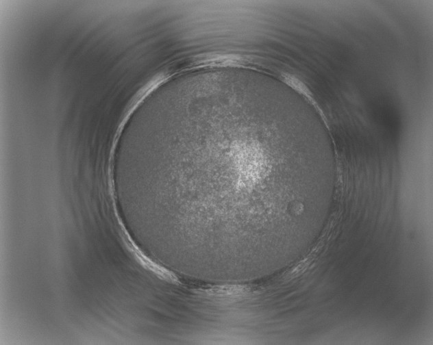 X0000056371090200509021808