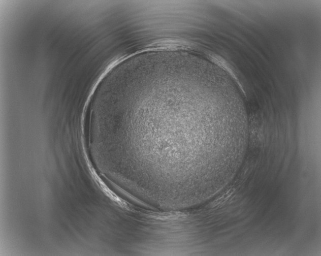 X0000056371091200509021808