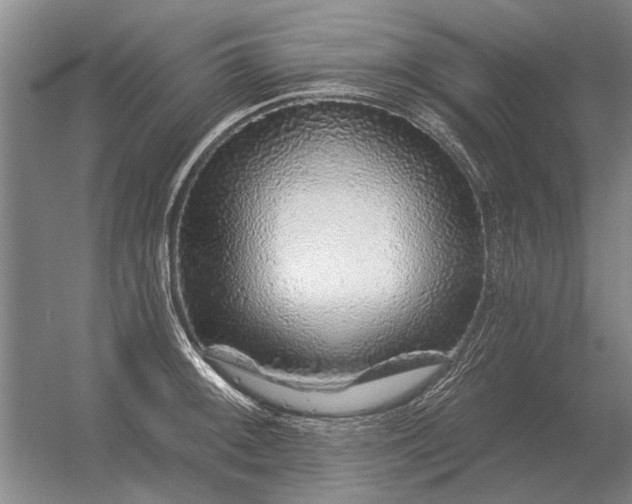 X0000056371092200509021808