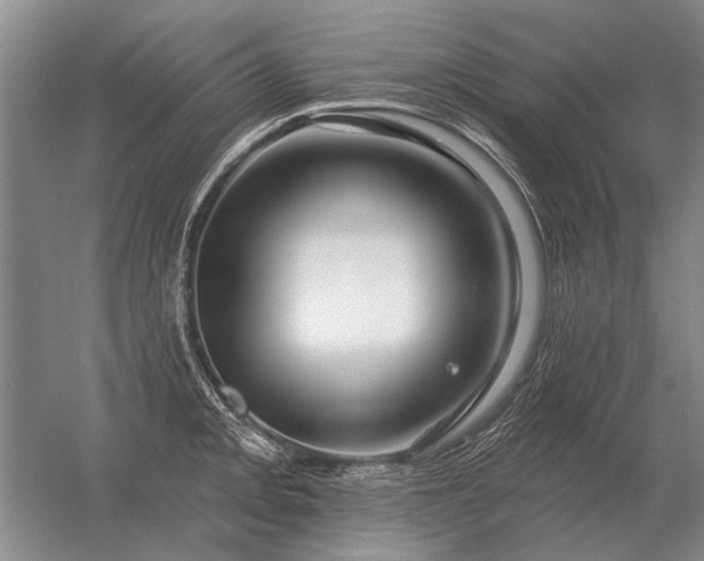 X0000056371093200509021808