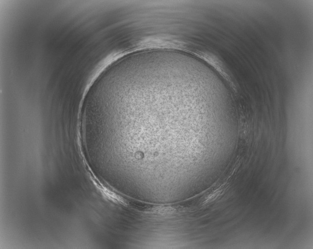 X0000056371094200509021808