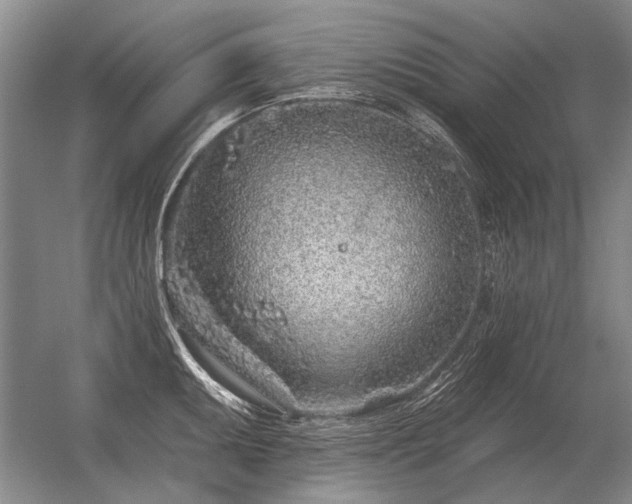 X0000056371095200509021808