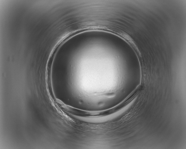 X0000056371096200509021808