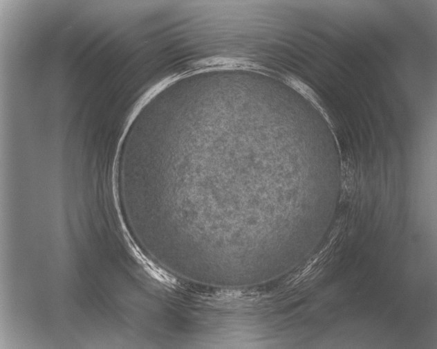 X0000056371098200509021808