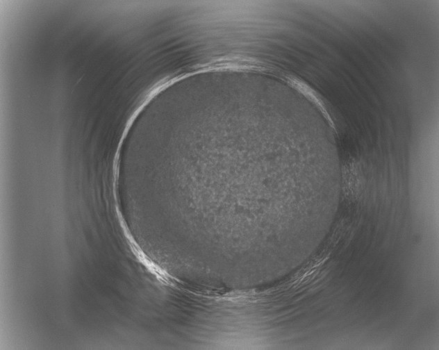 X0000056371099200509021808