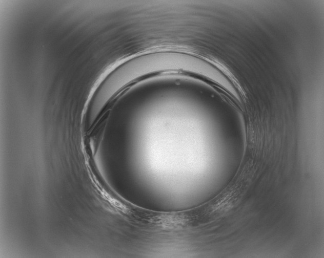 X0000056371102200509021808