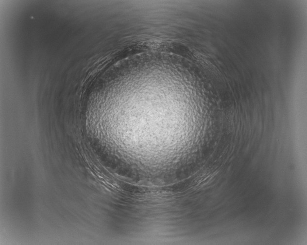 X0000056371105200509021807