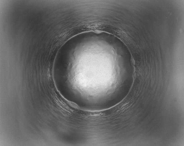 X0000056371106200509021807