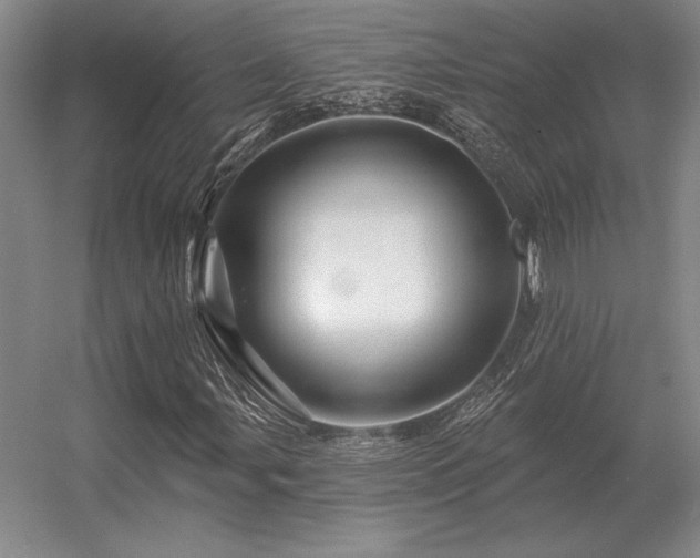 X0000056371107200509021807