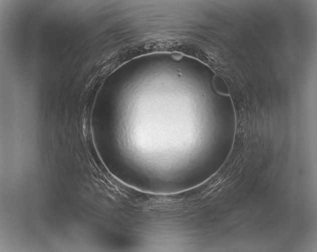 X0000056371109200509021807