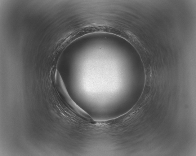 X0000056371110200509021807