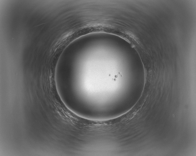 X0000056371111200509021807