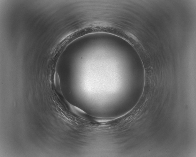 X0000056371112200509021807