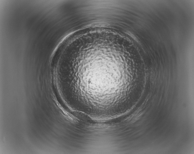 X0000056371115200509021807