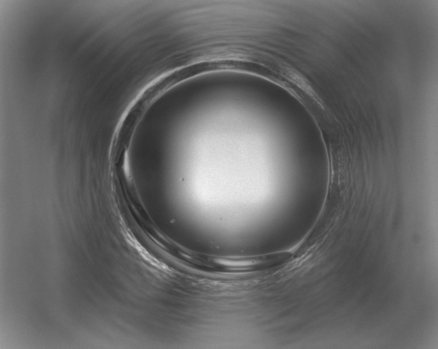 X0000056371116200509021807