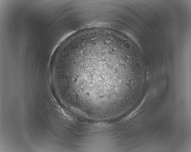 X0000056371117200509021807