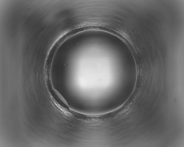 X0000056371119200509021807