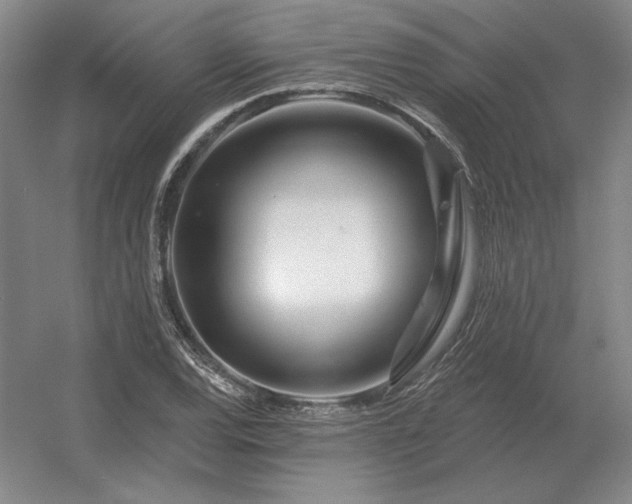 X0000056371120200509021807