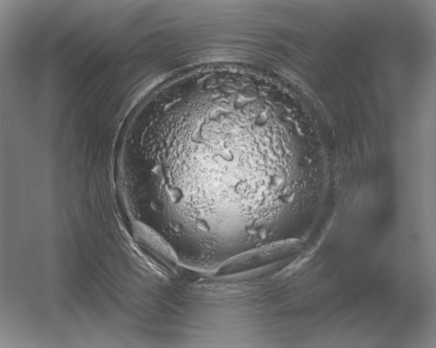 X0000056371121200509021807