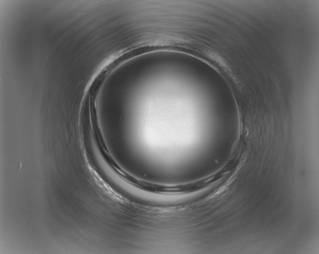 X0000056371122200509021807