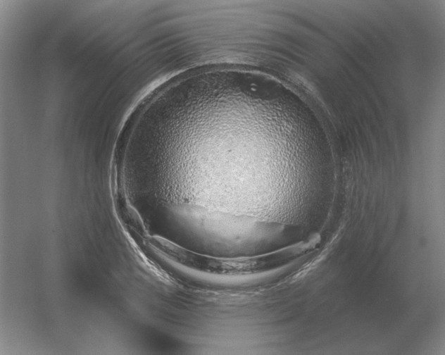 X0000056371125200509021807