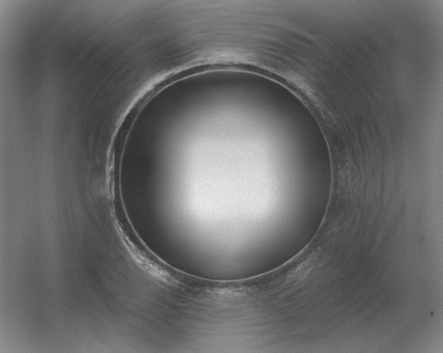 X0000056371126200509021807