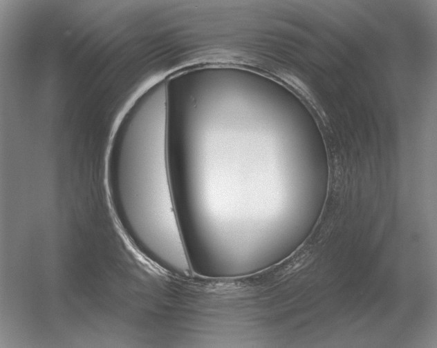 X0000056371128200509021807