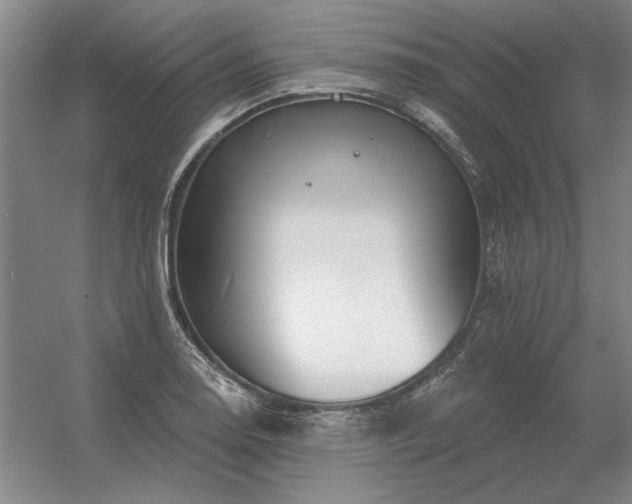 X0000056371130200509021807