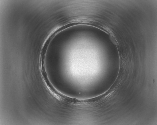 X0000056371131200509021807