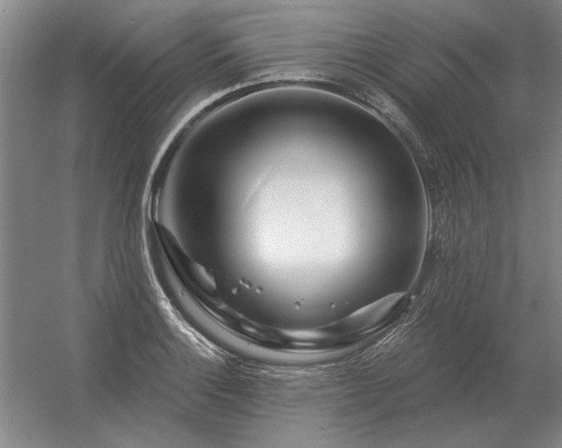 X0000056371132200509021807