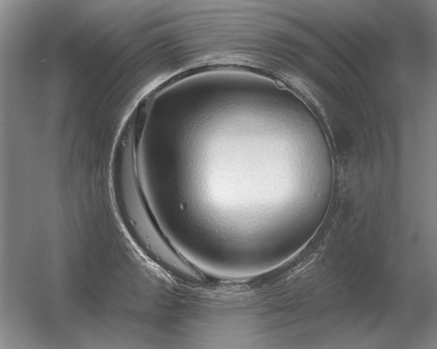 X0000056371133200509021807