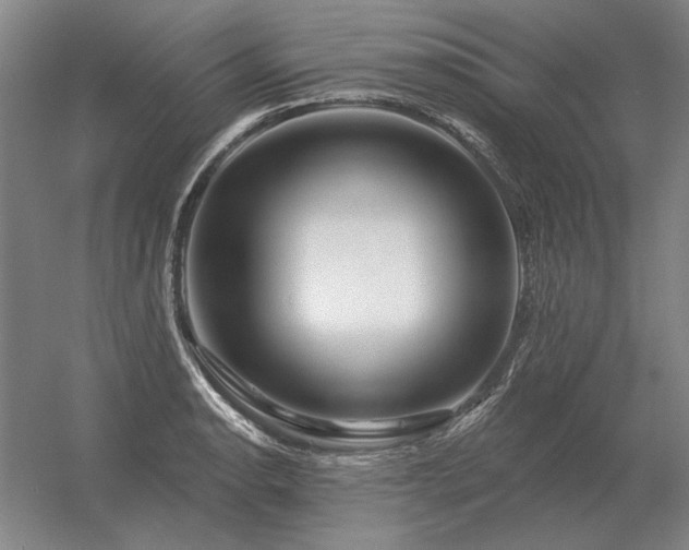 X0000056371134200509021807