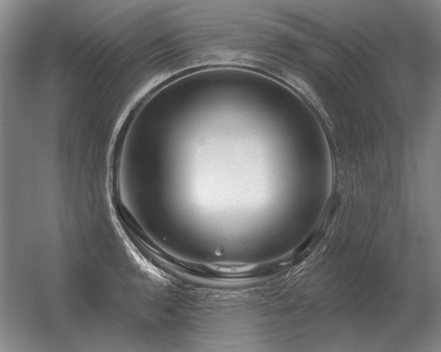 X0000056371136200509021807