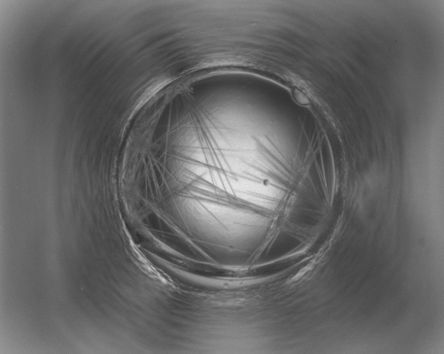 X0000056371137200509021807