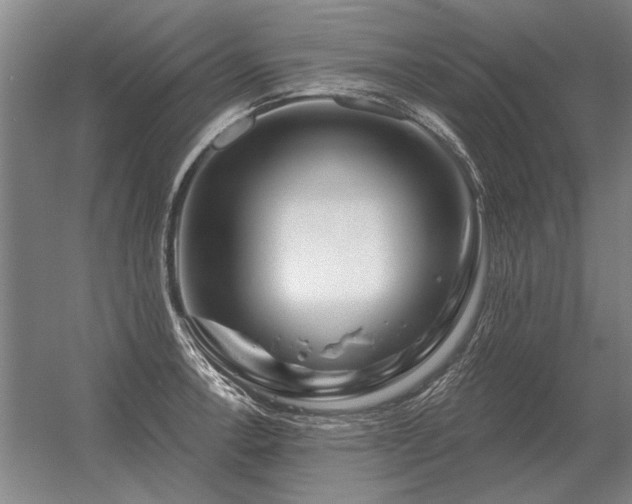 X0000056371138200509021807