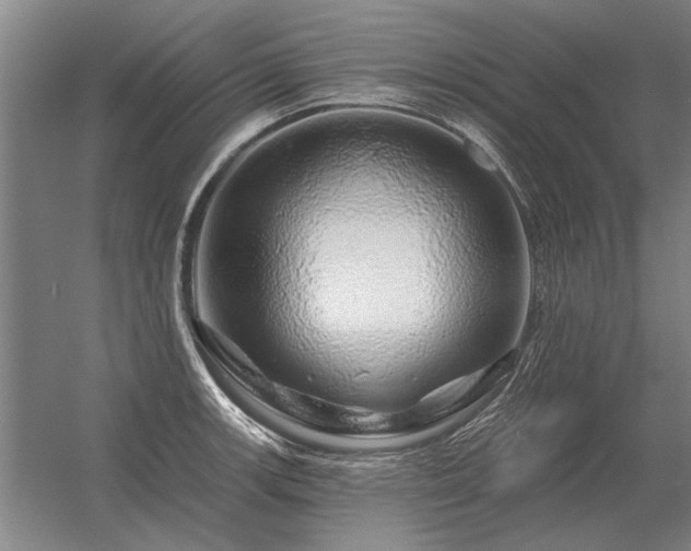 X0000056371139200509021807