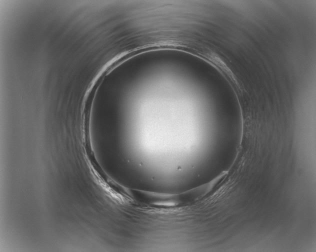 X0000056371140200509021807