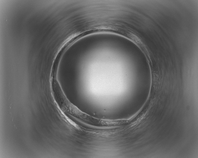 X0000056371141200509021807