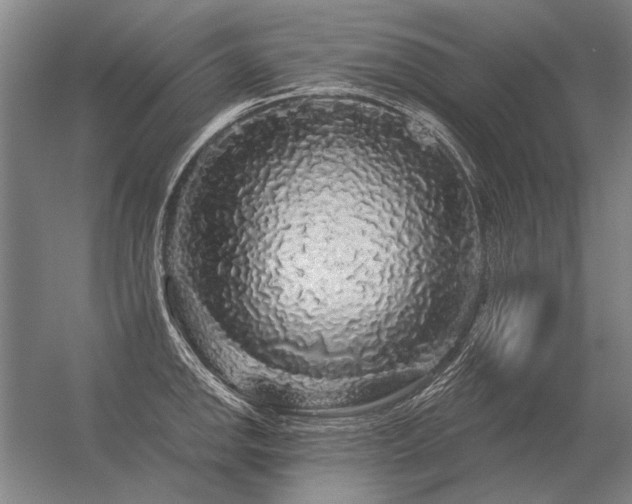 X0000056371142200509021807