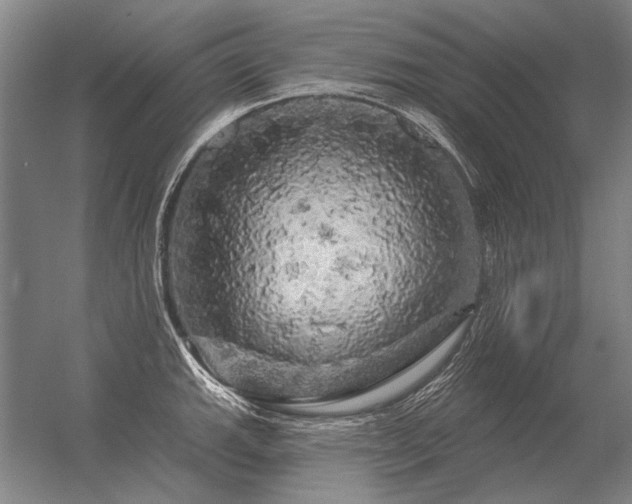 X0000056371143200509021807