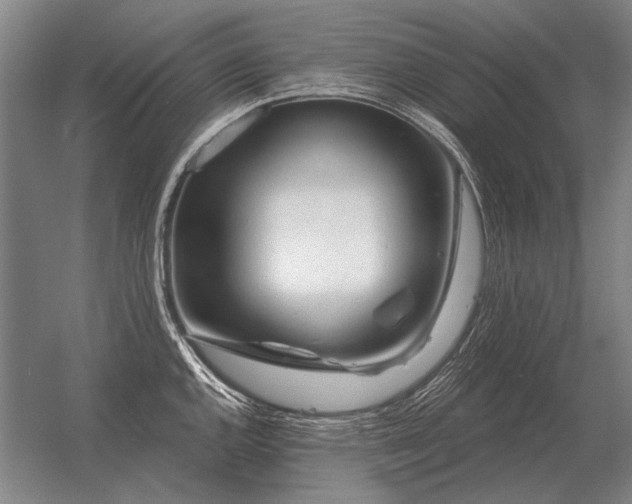 X0000056371144200509021807